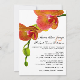 Elegante Orange Orchids Tropical Beach Hochzeit Einladung