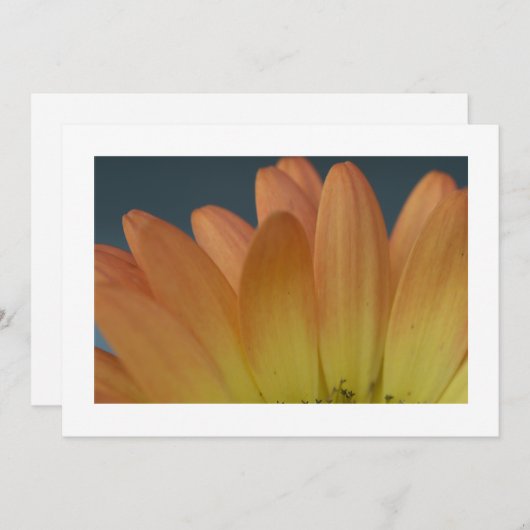 Elegante Orange Petal Custom Einladung (Vorne/Hinten)