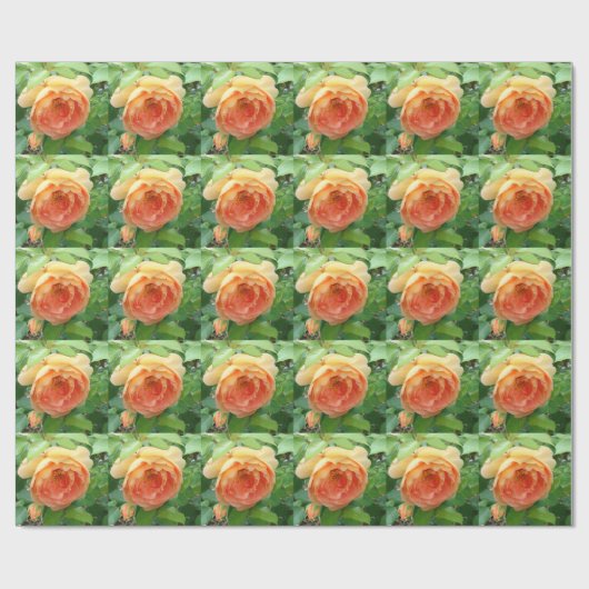 Elegante Orange-Rose Geschenkpapier (Flach)