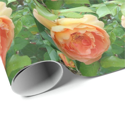 Elegante Orange-Rose Geschenkpapier (Rolleneckpunkt)