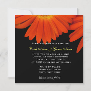 elegante orangefarbene Gerbera-Daisy-Hochzeitseinl Einladung