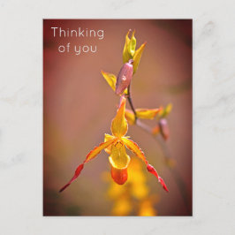 Elegante OrangeYellow Orchid Blume Denken Sie an S Feiertagspostkarte
