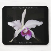 Elegante Orchidee Mousepad 1 (Vorne)