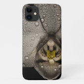 Elegante Orchideen-Blume, grau Case-Mate iPhone Hülle (Rückseite)