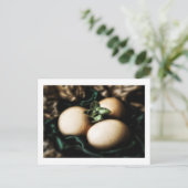 Elegante Ostereier Feiertagspostkarte (Stehend Vorderseite)