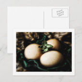 Elegante Ostereier Feiertagspostkarte (Vorne/Hinten)