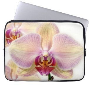 Elegante Pastell-Lila-Orchideenblüte Laptopschutzhülle