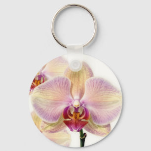 Elegante Pastell-Lila-Orchideenblüte Schlüsselanhänger