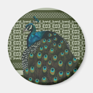 Elegante Peacock Bird Bird Liebhaber Magnet