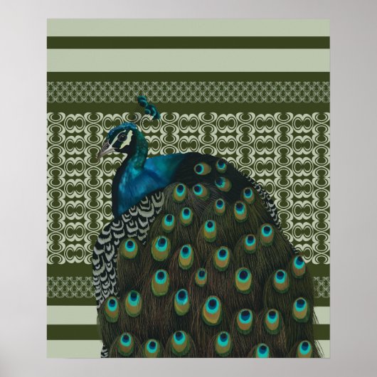 Elegante Peacock Bird Bird Liebhaber Poster (Vorne)