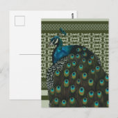Elegante Peacock Bird Bird Liebhaber Postkarte (Vorne/Hinten)