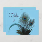 Elegante Peacock-Tischnummer (türkis) Postkarte (Vorne/Hinten)