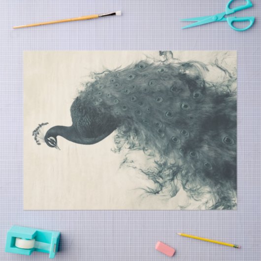 Elegante Pfauen Ornithologie Inspiriert Entdeckung Seidenpapier (Basteln)