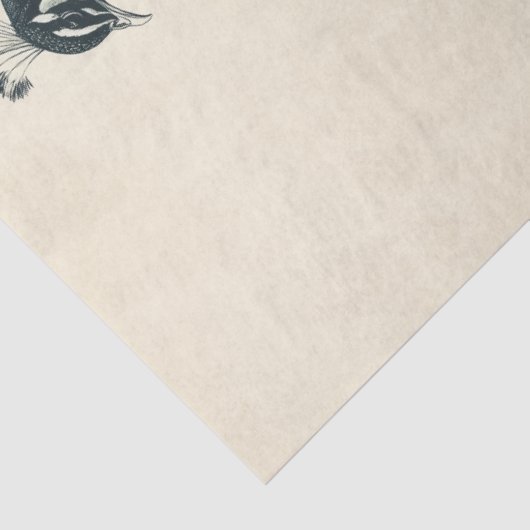 Elegante Pfauen Ornithologie Inspiriert Entdeckung Seidenpapier (Detail)