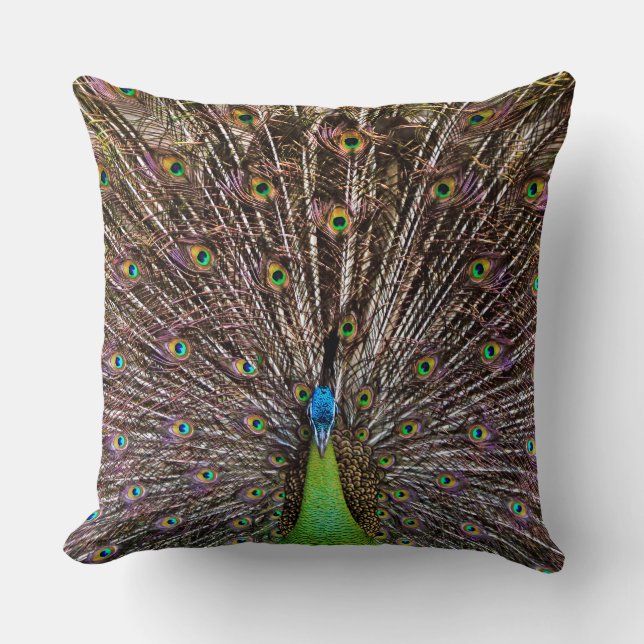 Elegante Pfauen-Vogel- und Feder-Kunst Kissen (Vorderseite)