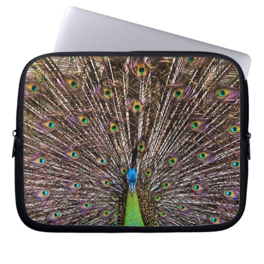 Elegante Pfauen-Vogel- und Feder-Kunst Laptopschutzhülle (Vorderseite)