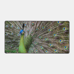 Elegante Pfauen-Vogel- und Feder-Kunst Schreibtischunterlage