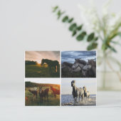 ELEGANTE PFERDE POSTKARTE (Stehend Vorderseite)
