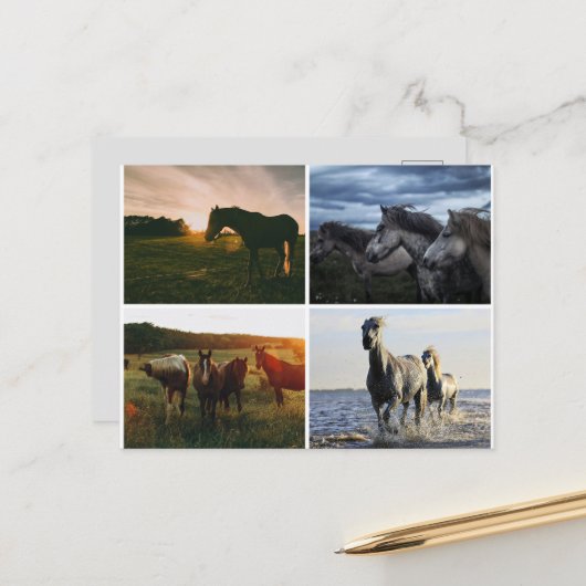 ELEGANTE PFERDE POSTKARTE (Vorderseite/Rückseite Beispiel)