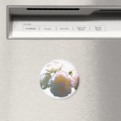 Elegante, pfirsichorange Rose Magnet (In Situ (Geschirrspüler))