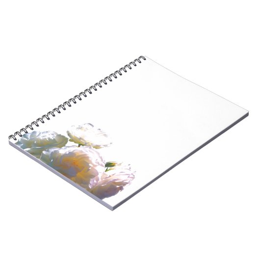 Elegante, pfirsichorange Rose Notizblock (Linke Seite)