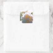 Elegante, pfirsichorange Rose Quadratischer Aufkleber (Tasche)