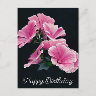 Elegante Pink Hollyhock Malva Blume Postkarte