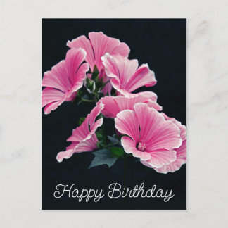 Elegante Pink Hollyhock Malva Blume Postkarte