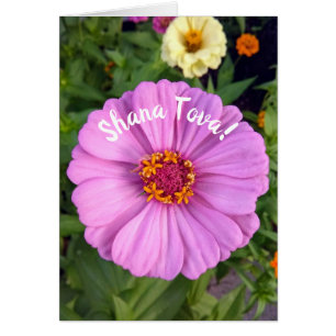 Elegante Pink Zinnia Blume Rosh Hashanah Card