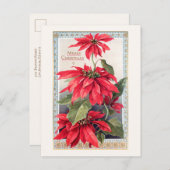 Elegante Poinsettias in dekorativem Goldrahmen Postkarte (Vorne/Hinten)