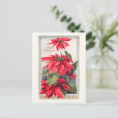 Elegante Poinsettias in dekorativem Goldrahmen Postkarte (Stehend Vorderseite)