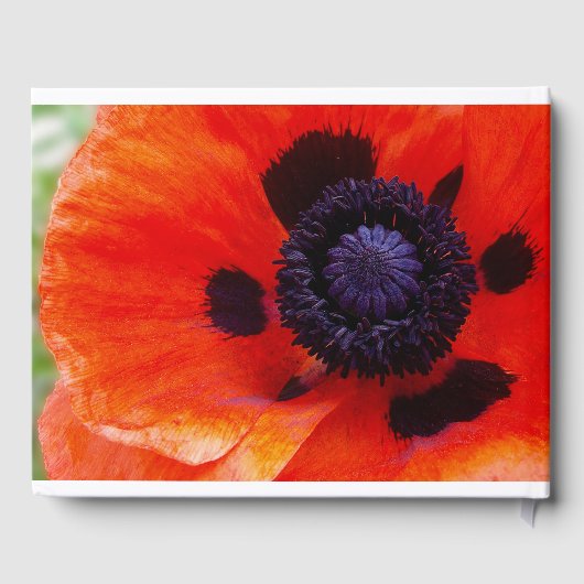 Elegante Poppy Orange Floral Rental Gästebuch (Rückseite)