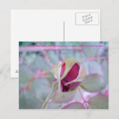 Elegante Postkarte (Vorne/Hinten)