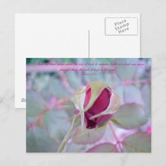 Elegante Postkarte (Vorne/Hinten)