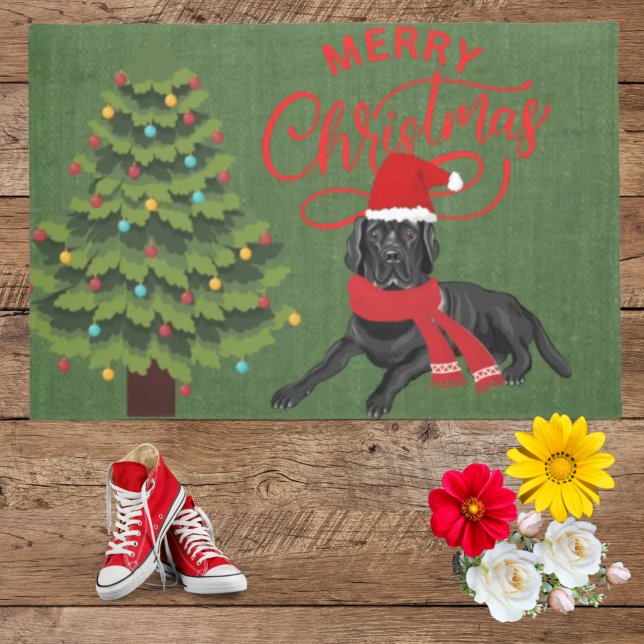 Elegante praktische Farben schöne schwarze Labrado Fußmatte (Von Creator hochgeladen)