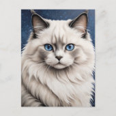 Elegante Ragdoll Cat Portrait Artwork Blue Eyes Postkarte (Vorderseite)