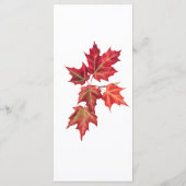 Elegante Red Orange Herbstlaubs Wedding Menükarte (Rückseite)