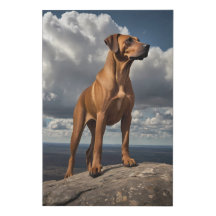 Elegante Rhodesian Ridgeback Leinwand - Berggipfel