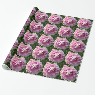 Elegante romantische rosa Blüten Blumen rosa Pfing Geschenkpapier