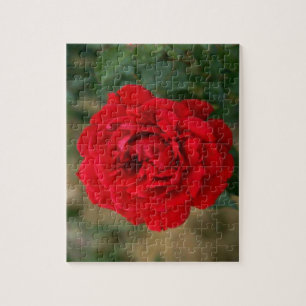 Elegante romantische Rote Rose Puzzle