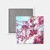 Elegante rosa Blume Kirschblüten Magnet (Vorderseite/Rückseite)