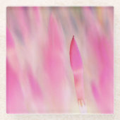 Elegante rosa Blume Print Untersetzer (Vorderseite)