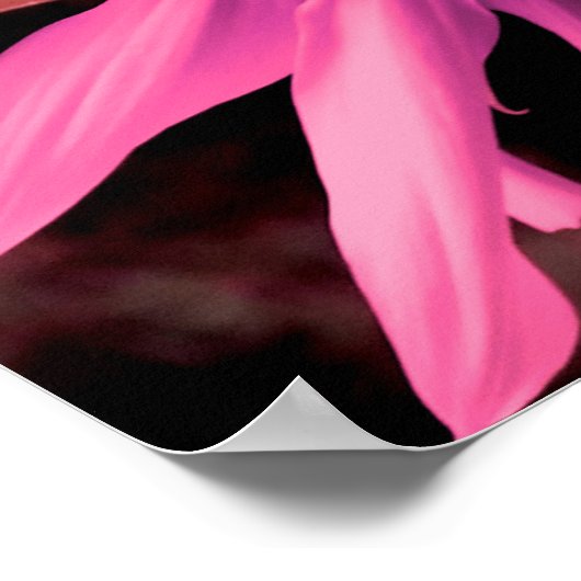 Elegante rosa Blume Sonnenblumen Rosa Blume Poster (Ecke)