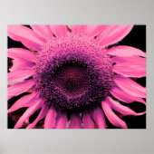 Elegante rosa Blume Sonnenblumen Rosa Blume Poster (Vorne)