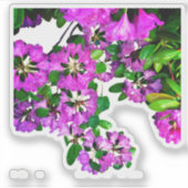 Elegante rosa Blumen rosa Azaleen rosa Blume Aufkleber (Vorderseite)