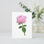 Elegante rosa Blüte Postkarte (Stehend Vorderseite)