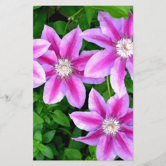 Elegante Rosa Blütengrün (Vorderseite)