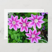 Elegante Rosa Blütengrün Postkarte (Vorne/Hinten)