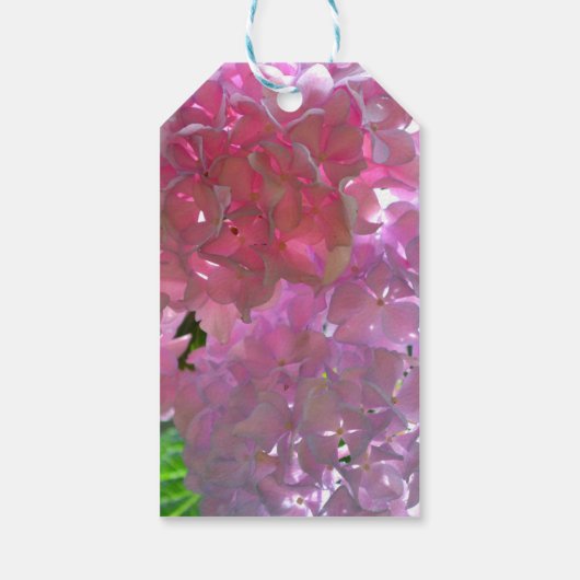 Elegante Rosa Boho Blumen Blume Hydrangeas Geschenkanhänger (Rückseite)