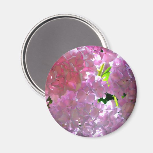 Elegante Rosa Boho Blumen Blume Hydrangeas Magnet (Vorderseite/Rückseite)